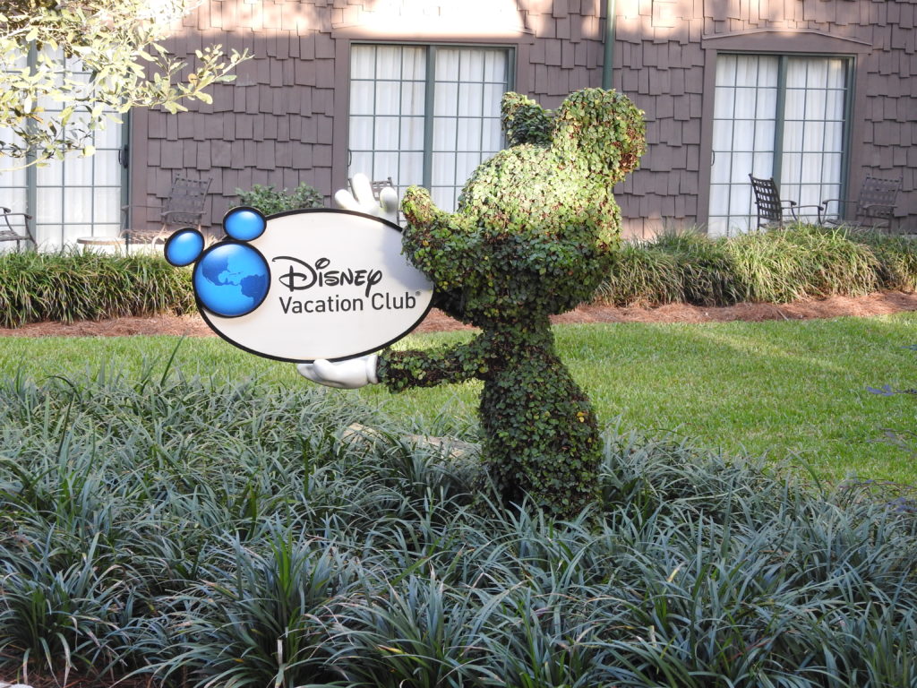 Mickey bush with Disney Vacation Club sign