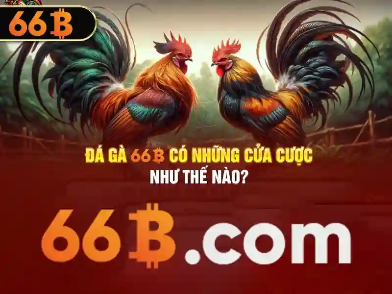 66b: khái niệm, đặc điểm và ứng dụng