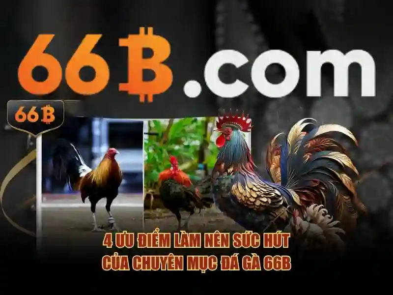 Giao diện trang chủ 66b hiện đại và chuyên nghiệp