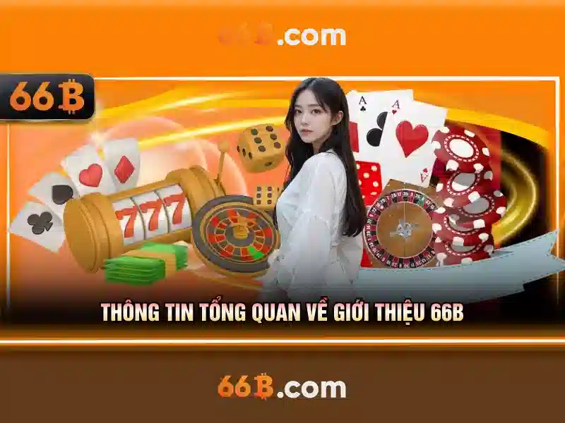 66b of the b: Hành trình thương hiệu và giá trị đổi mới