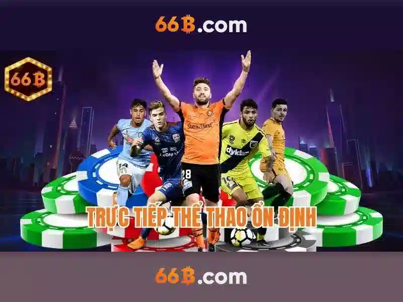 66b: một khái niệm và ảnh hưởng