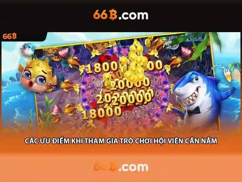 66b là gì? Khái niệm và ảnh hưởng