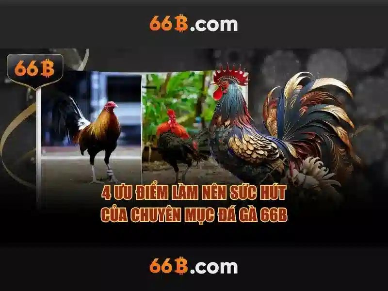 66b: mô hình ngôn ngữ lớn và tiềm năng của nó