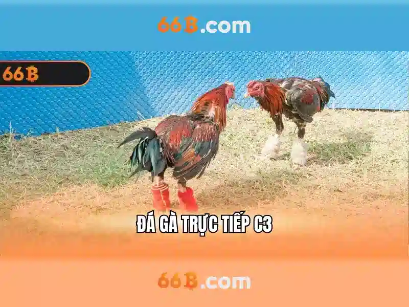 66b: Khái niệm và tiềm năng của mô hình ngôn ngữ 66b