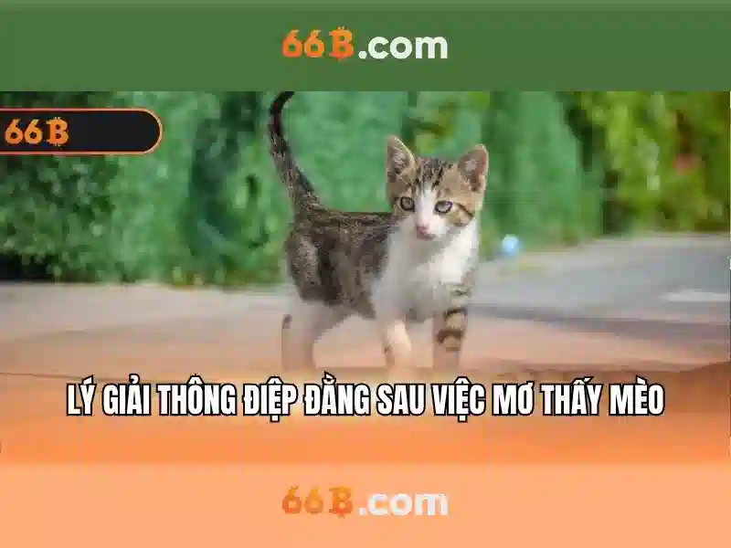 66B: Khái niệm và vai trò của mô hình ngôn ngữ quy mô lớn