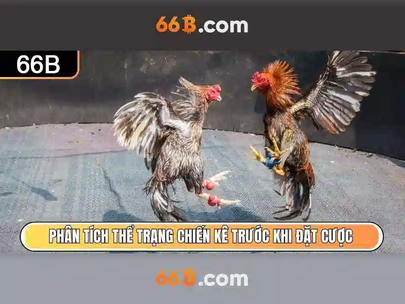 66b là gì? Giới thiệu về mô hình ngôn ngữ 66 tỷ tham số