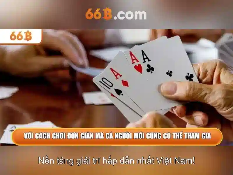Mô hình 66B: Giới thiệu, kích thước và ứng dụng