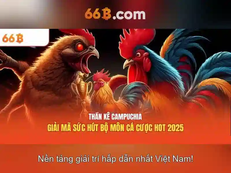 66B – Khái niệm, kích thước và ứng dụng