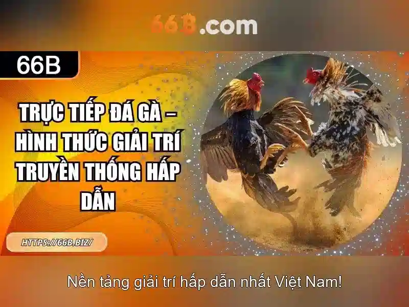 66b: ký hiệu bí ẩn và hành trình khám phá