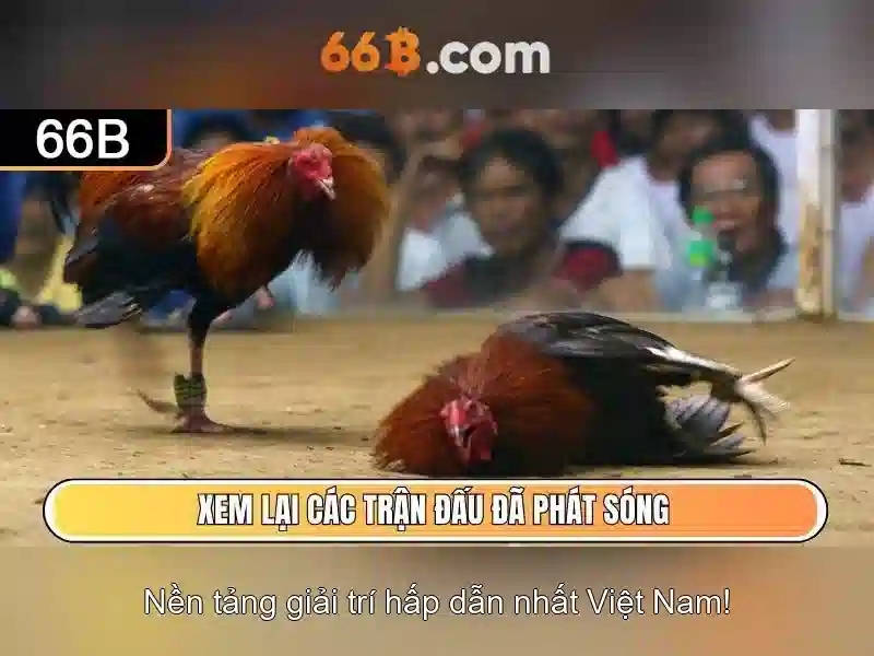 66b: Hành trình khám phá khái niệm công nghệ