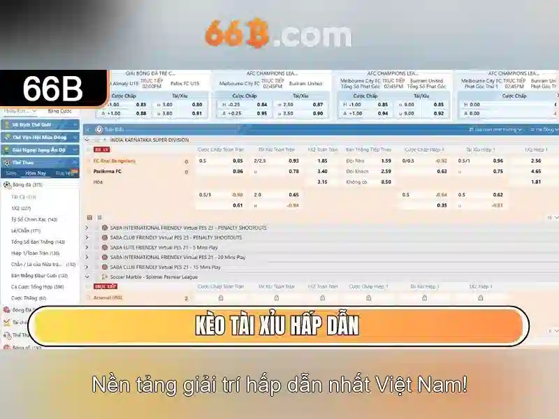 66b: một khái niệm đa chiều