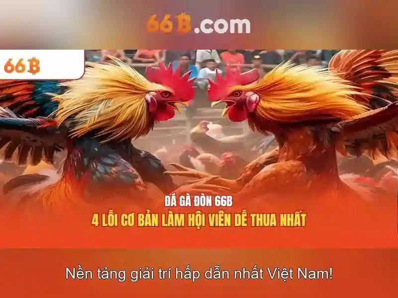 66b: một khái niệm và hành trình khám phá
