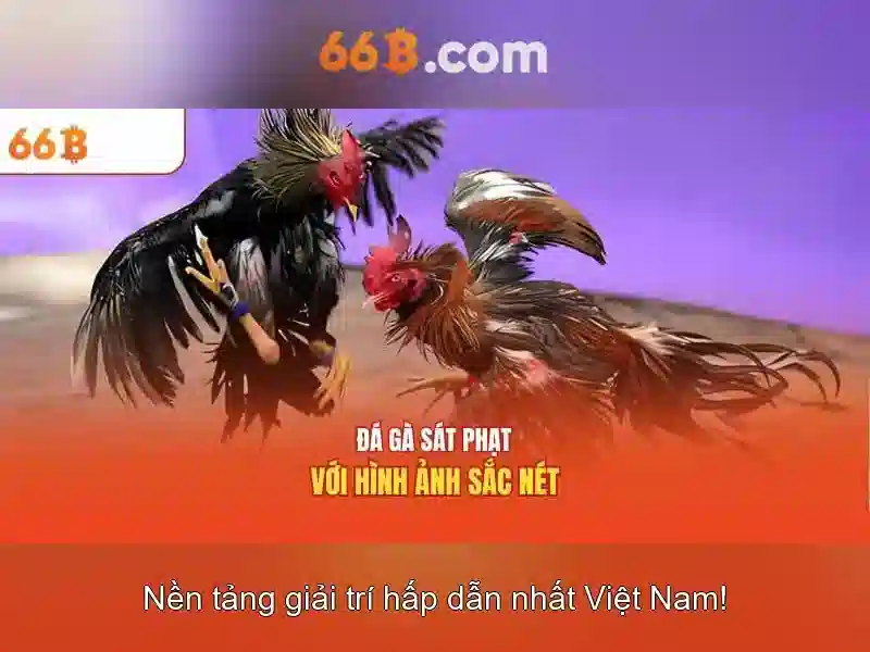 66B: Mô hình ngôn ngữ quy mô 66 tỷ tham số