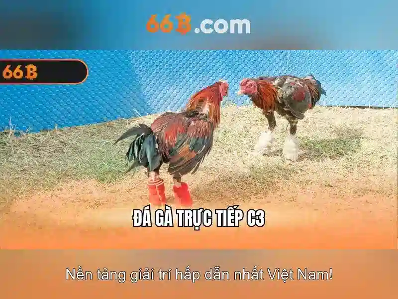 66B: Tổng quan về một mô hình ngôn ngữ lớn 66 tỷ tham số