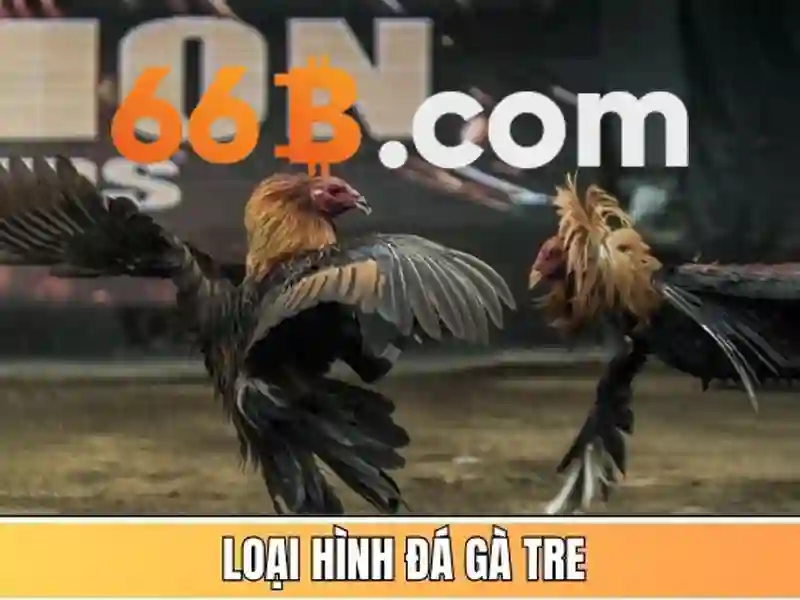 stevens 66b – trải nghiệm thương hiệu đột phá