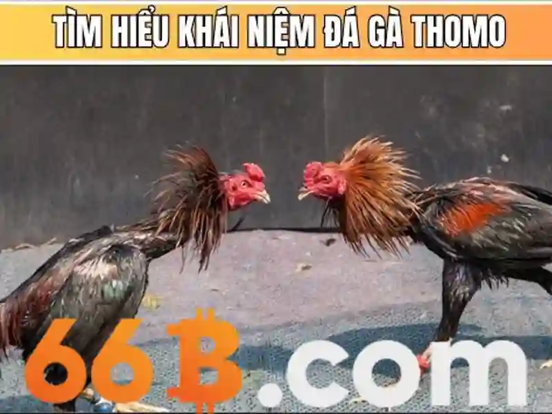 Chơi 66b có bị bắt không? Hiểu rõ pháp lý và an toàn