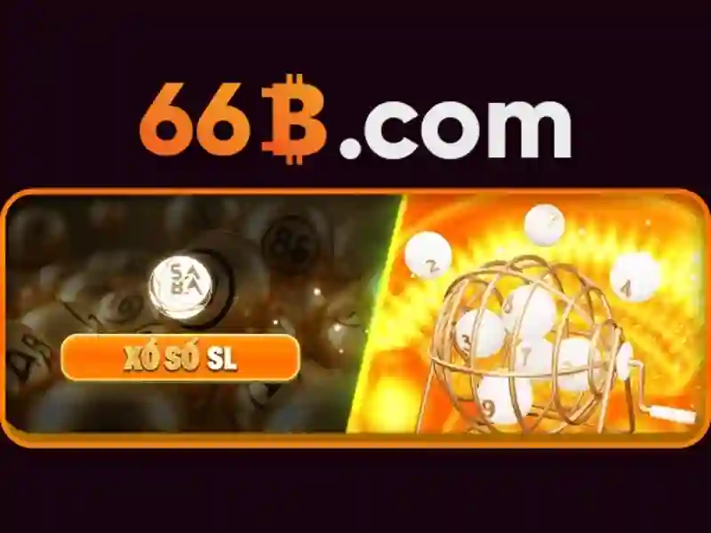 Quyen loi va trach nhiem cua hoi vien 66b