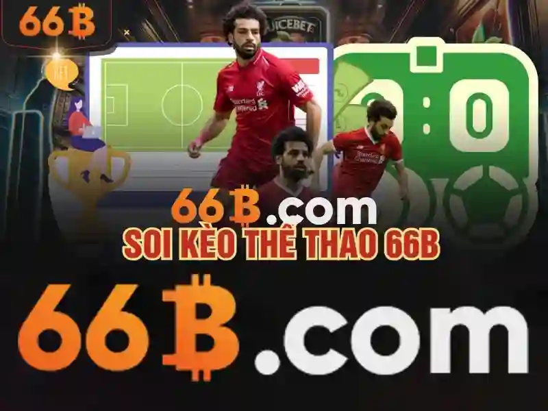 66b — một khái niệm và ảnh hưởng