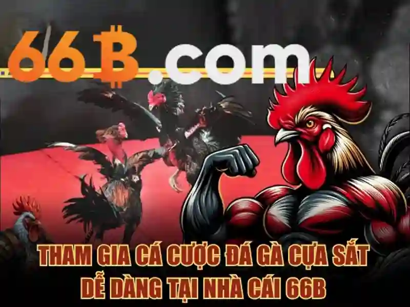 66b trong công nghệ hiện đại