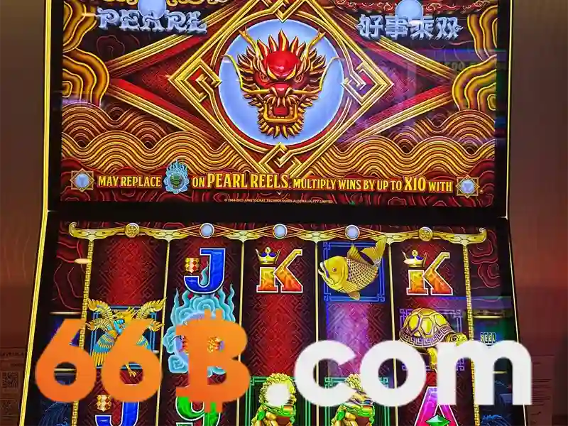 66b phường 15 quận tân bình – Hành trình phát triển và trải nghiệm