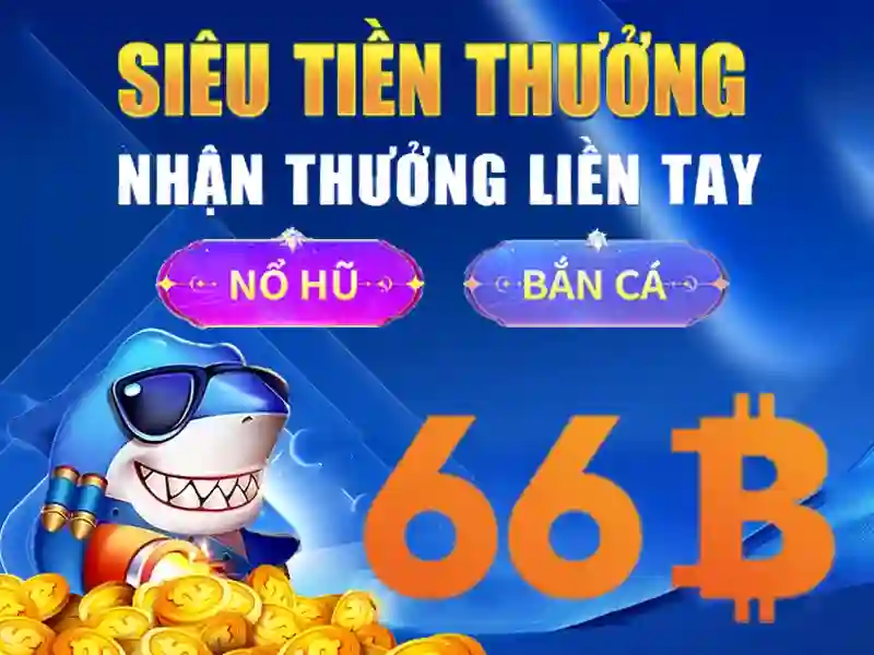 hoogoorddreef 66b: hành trình và trải nghiệm thương hiệu