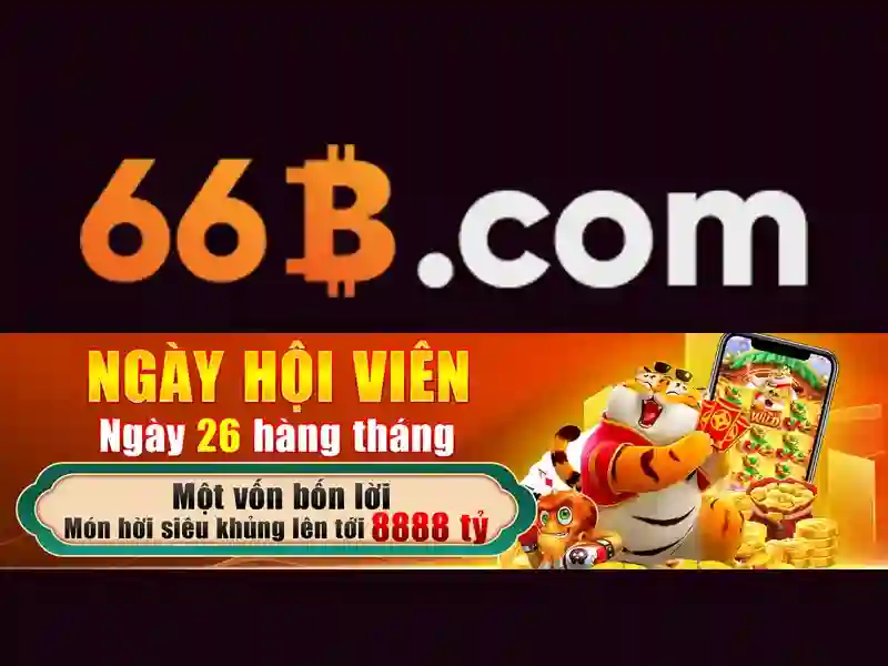 66b: một khái niệm đầy bí ẩn và tiềm năng